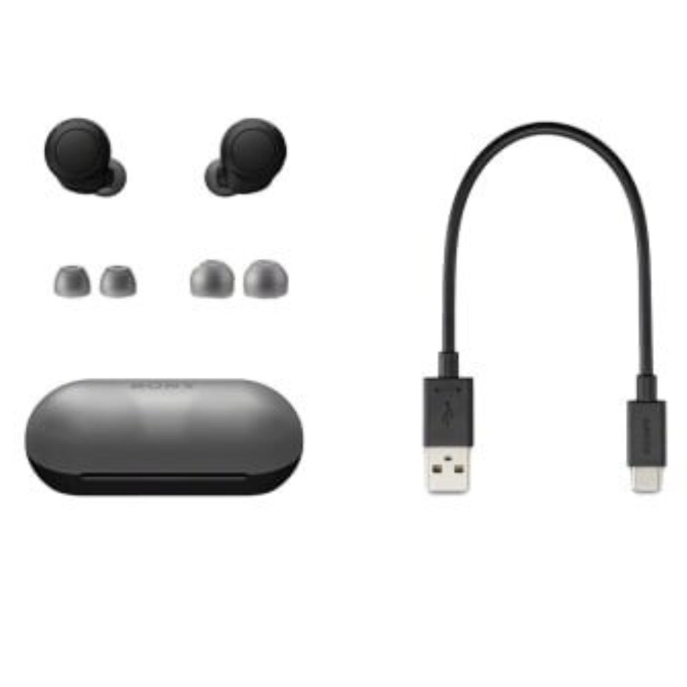 SONY TRULY WIRELESS EARBUDS Model WF-C500